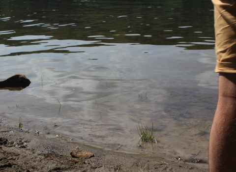 flood water with a person in foreground