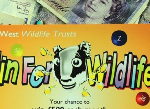 image of Win for wildlife lottery
