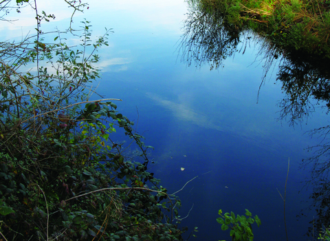 Bowness on solway landscape