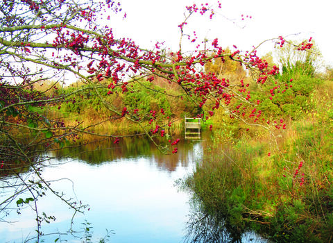 Bowness on solway landscape