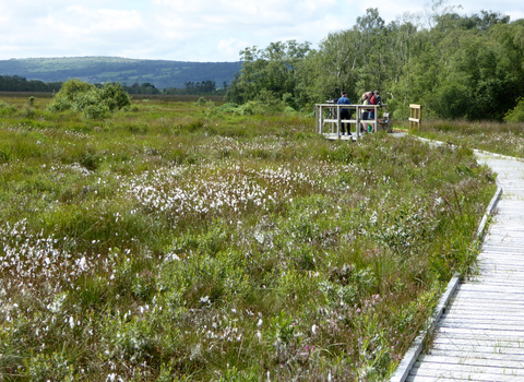 image of a wildlife viewing platform with people at foulshaw moss nature reserve