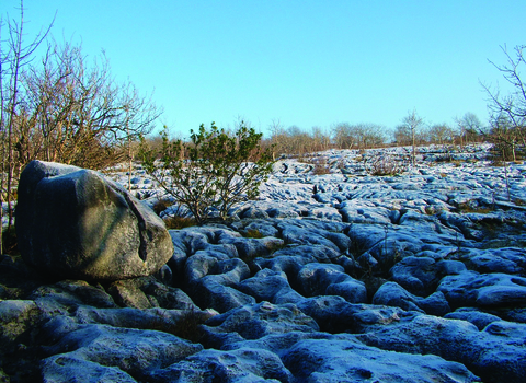 image of limestone pavement hutton roof crags nature reserve