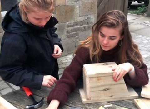 image of Sian Bentley and Grainne Martinwells making bird boxes 