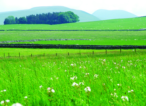 Tarn sike nature reserve landscape -copyright andrew walter