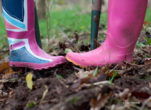 image of pink wellington boots and spades gardening - copyright tom marshall