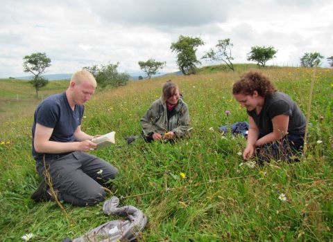 Volunteers and placement student Louise Richards surveying meadows