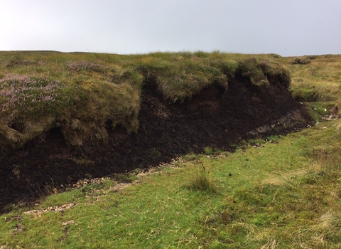 Carbon storage at Bampton common