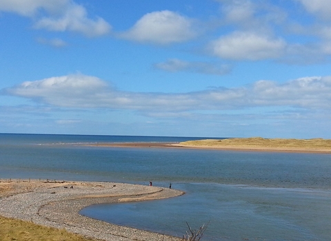 Eskmeal Dunes 2013