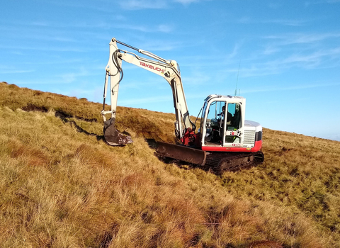 Image of peatland restoration at Bampton Common © Jane Wilson