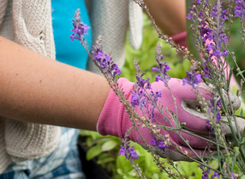 A person gardening with gloves on