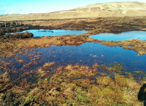 Image of Armboth Fell after peatland restoration credit Cumbria Wildlife Trust