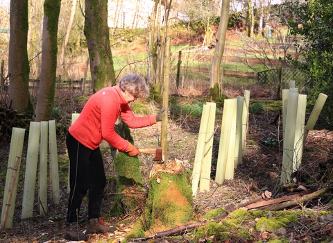 Image of volunteeer at Staveley woodlands