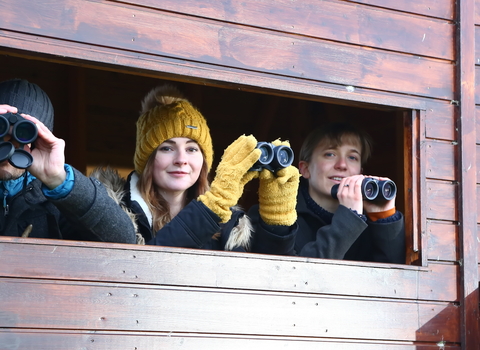 Four people sitting inside a wooden hide, holding binoculars