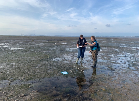 Marine interns carryout a sealife survey