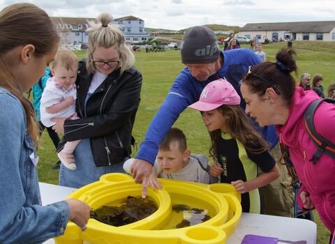 Image of mobile rockpool at SeaFest 2022 © Cumbria Wildlife Trust