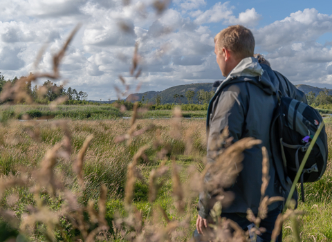 A man stands in a nature reserve surrounded by long grasses on a sunny day