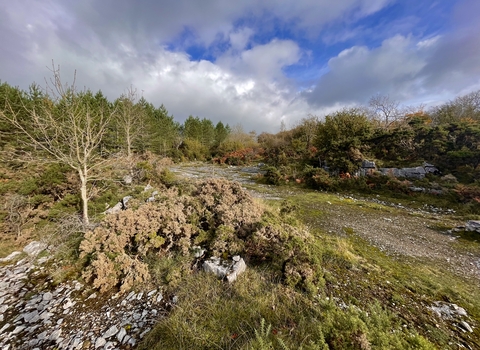 Holme Park Quarry Nature Reserve copyright Pete Jones