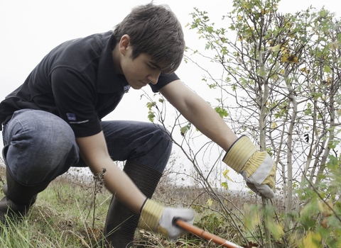 Warden Day; Young volunteers clearing scrub at the RSPB Vange Marsh near Basildon, Essex © Paul Harris/2020VISION