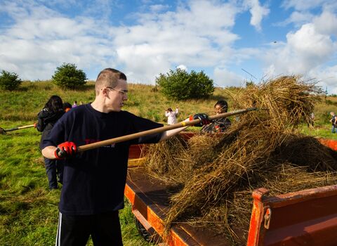 man raking up hay into a trailer