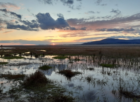 Image of Roanhead credit Eve Mulholland