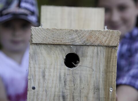 two people holding a homemade bird box they have built credit Peter Cairns/2020VISION