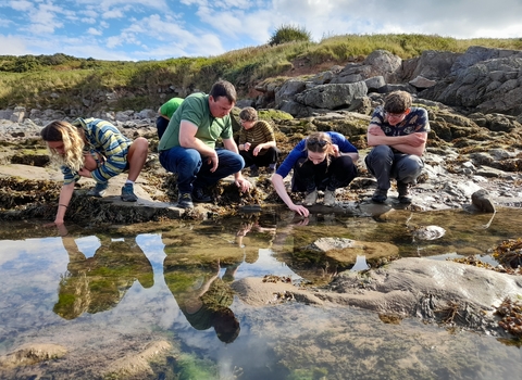 Image of people looking in rockpool