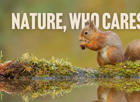Nature who cares - web page banner General Election 2024