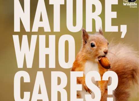 Nature who cares square image