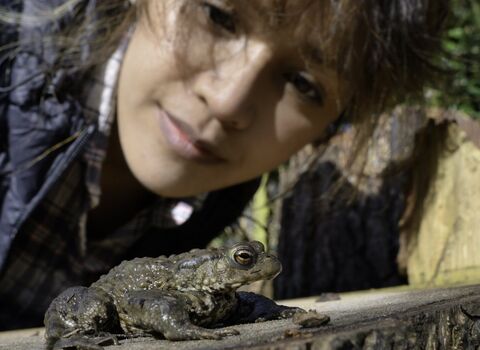Asian woman looks at toad in garden copyright Nick Upton/2020VISION