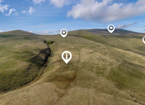 Skiddaw forest virtual tour image