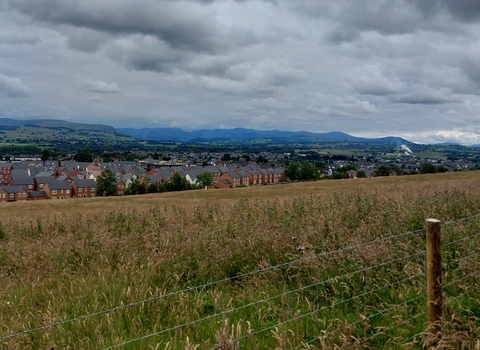 Image of Cold Springs Community Nature Reserve with houses in background