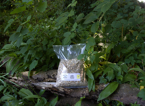 The Bird's Bistro bird seed 1kg bag placed on a branch