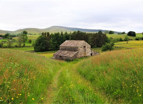 Bowber Head Nature Reserve