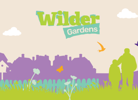 Illustrated image of parkland with wildlife with parent and child