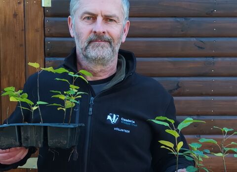 Paul - volunteer - holding plug plants