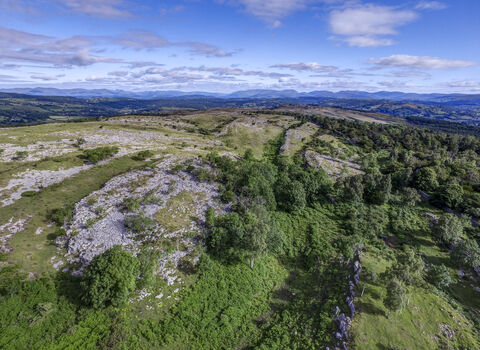 Whitbarrow copyright Colin Aldred photography