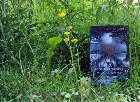 Photo of 'Night Life' book by John Lewis-Stempel