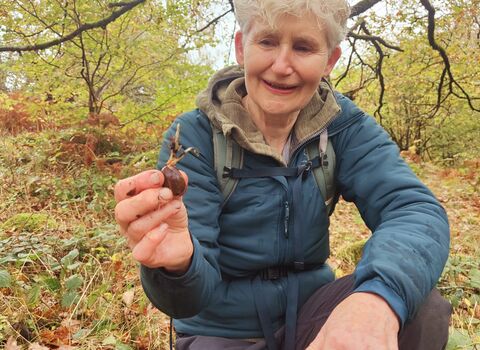 Volunteer holding up a tree seed collected in a woodland