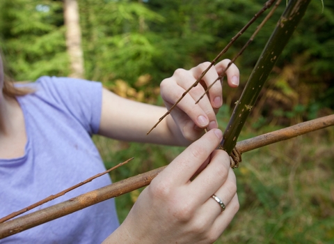 Willow weaving